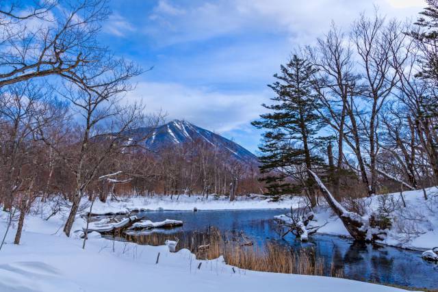 クリスマスティー(チャイティー)